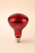 Infrared Heat Therapy Light Bulb